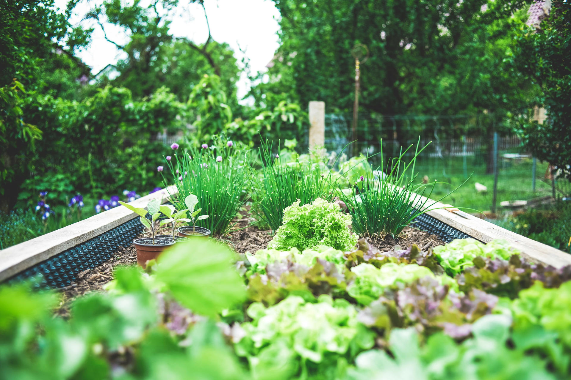 Etude de faisabilité d'une ferme maraîchère municipale à Igny | Potagers & Compagnie