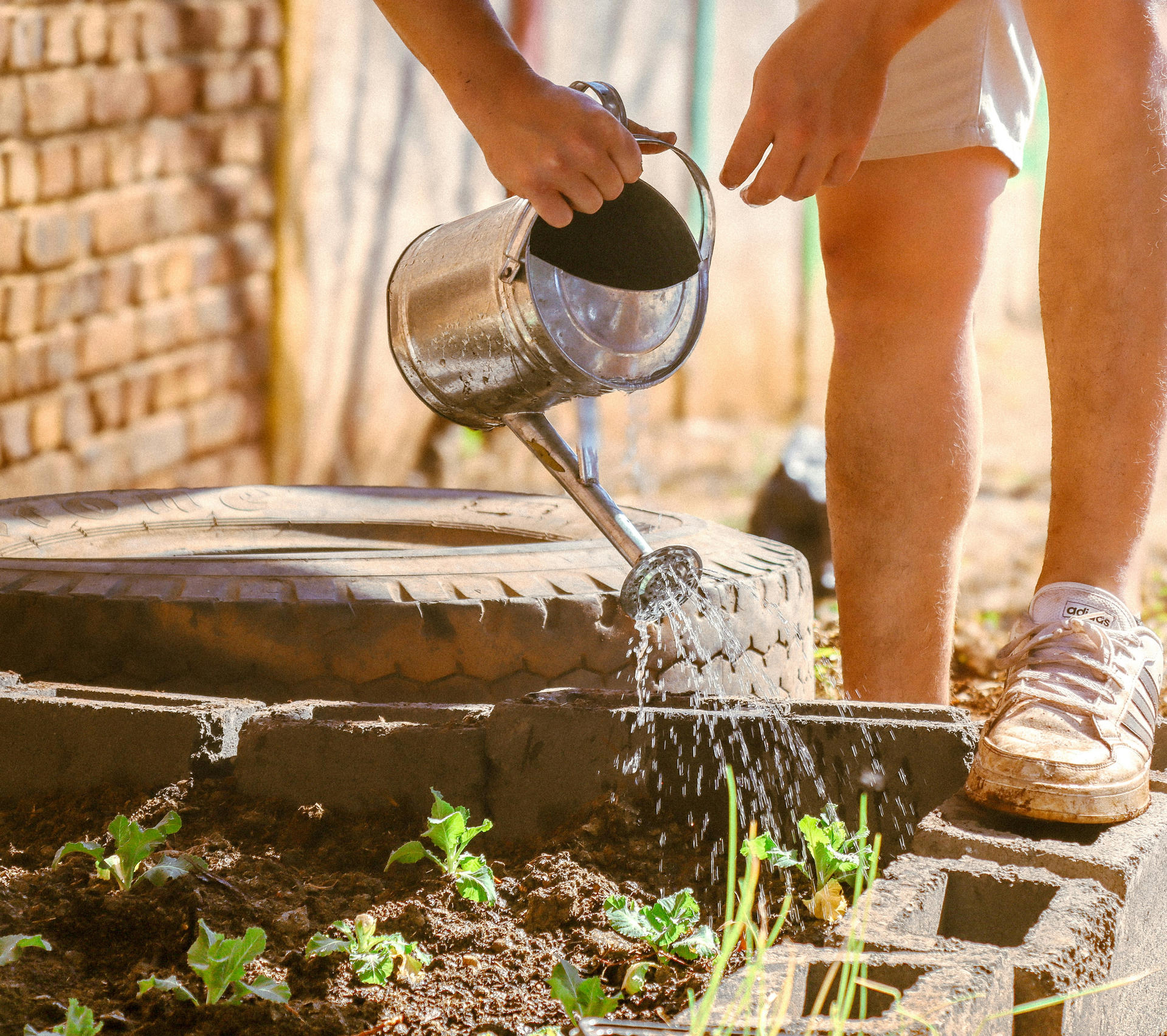 Création d'un potager d'entreprise pour Neyrat Immobilier | Potagers & Compagnie