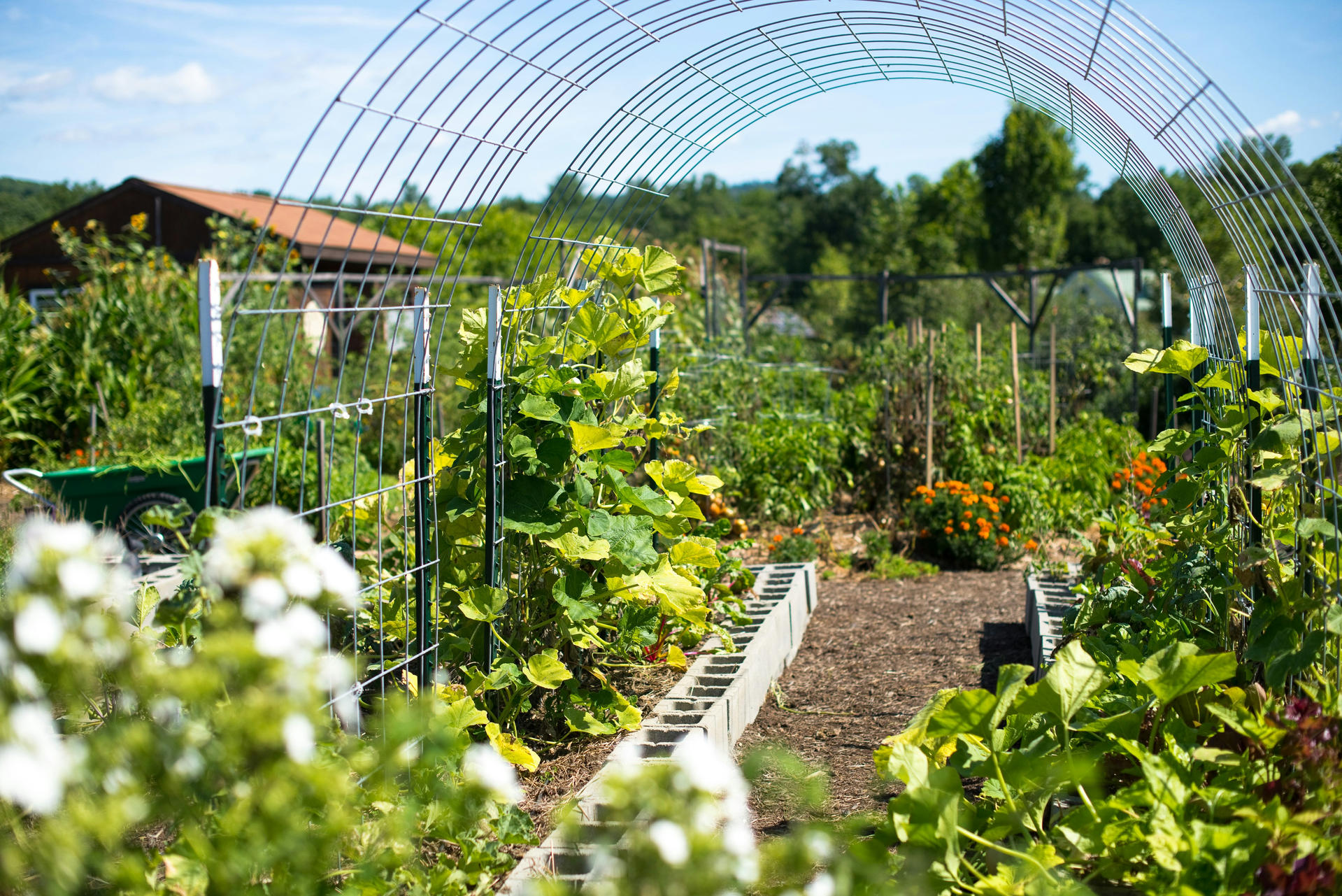 Création d’une ferme maraîchère municipale à Pourrières | Potagers & Compagnie