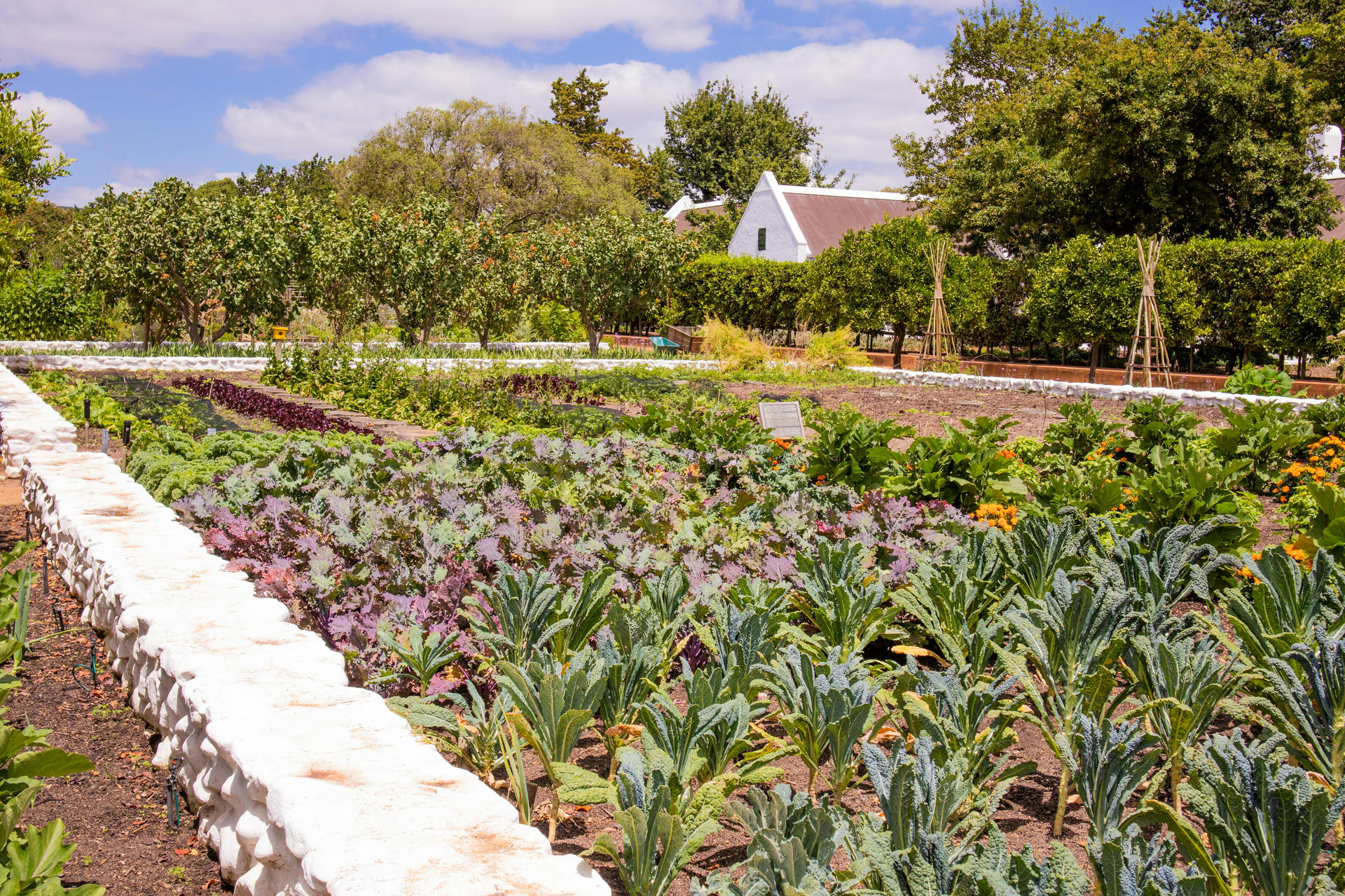 Étude de faisabilité d’une ferme maraîchère municipale à Bormes les Mimosas | Potagers & Compagnie