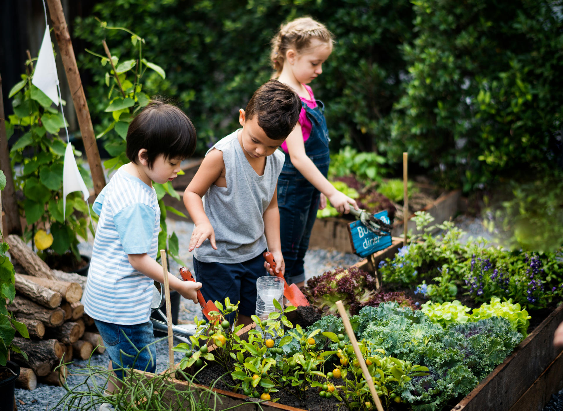 Etude d'un projet agricole diversifié dans le Golfe de Saint-Tropez | Potagers & Compagnie