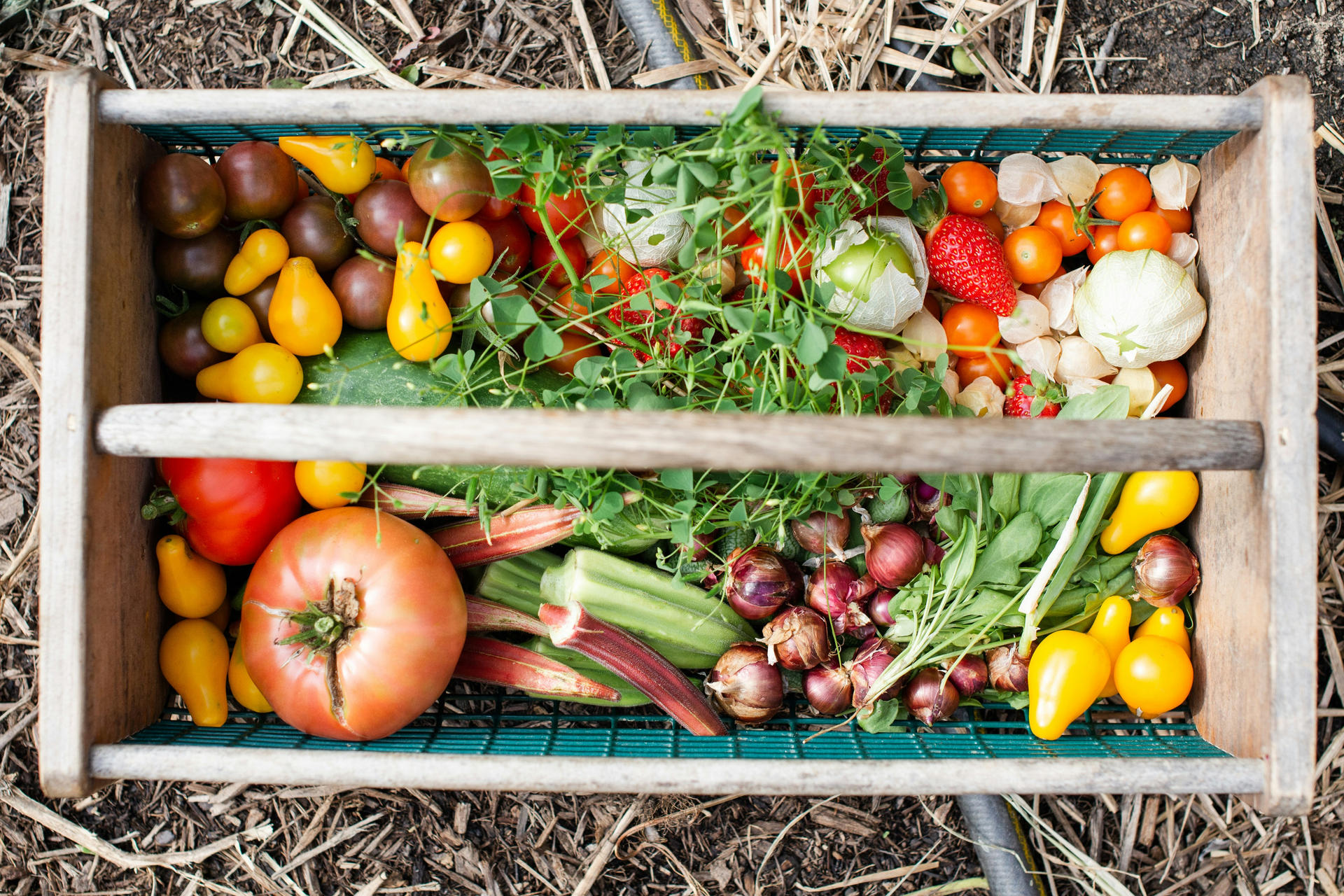 Etude du potentiel d’une exploitation maraîchère pour la création d'une régie publique agricole | Potagers & Compagnie