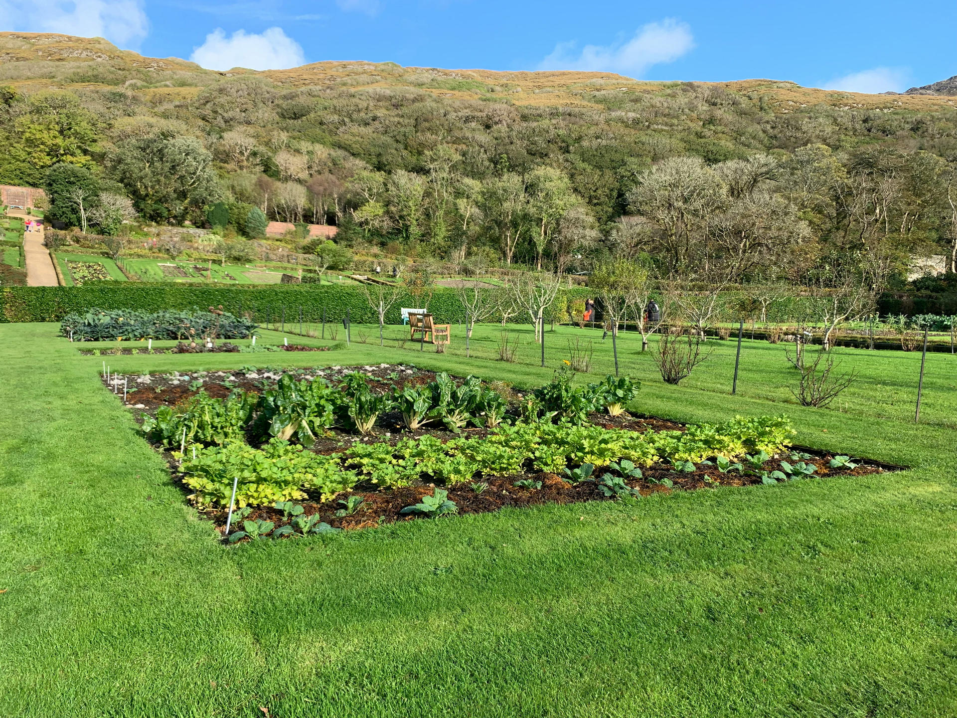 Audit d'un parc agroécologique à Gardanne | Potagers & Compagnie
