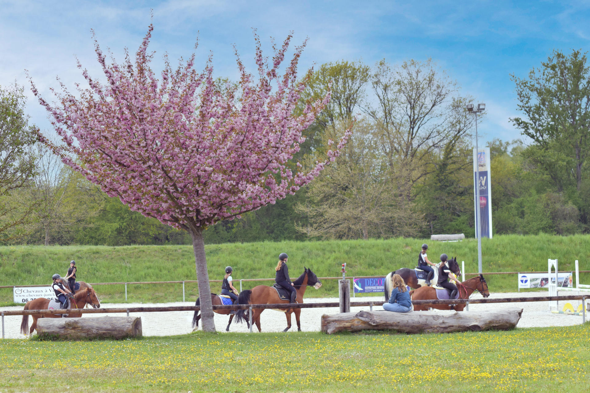 🏇 Equitation 🏇 100% femmes 🙋🏽  | Kabubu
