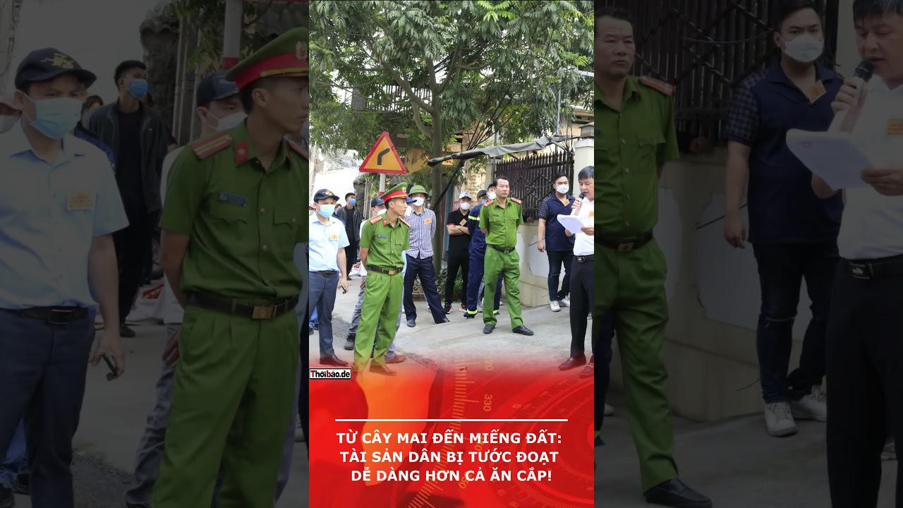 Từ cây mai đến miếng đất: tài sản dân bị tước đoạt dễ dàng hơn cả ăn cắp!