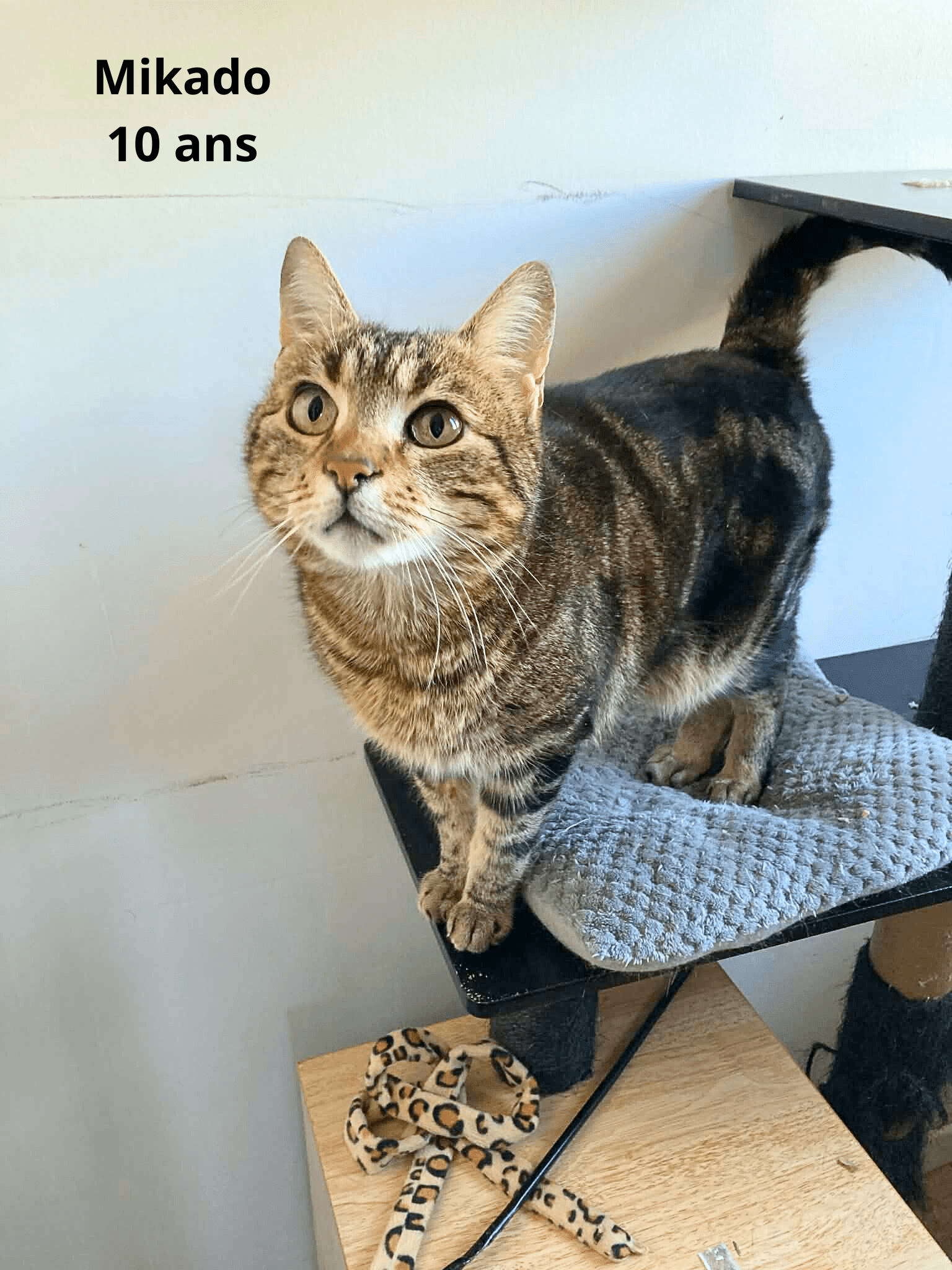 - | Ch'amis pour la vie