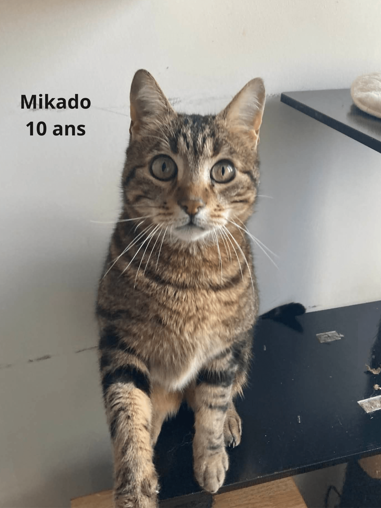 - | Ch'amis pour la vie