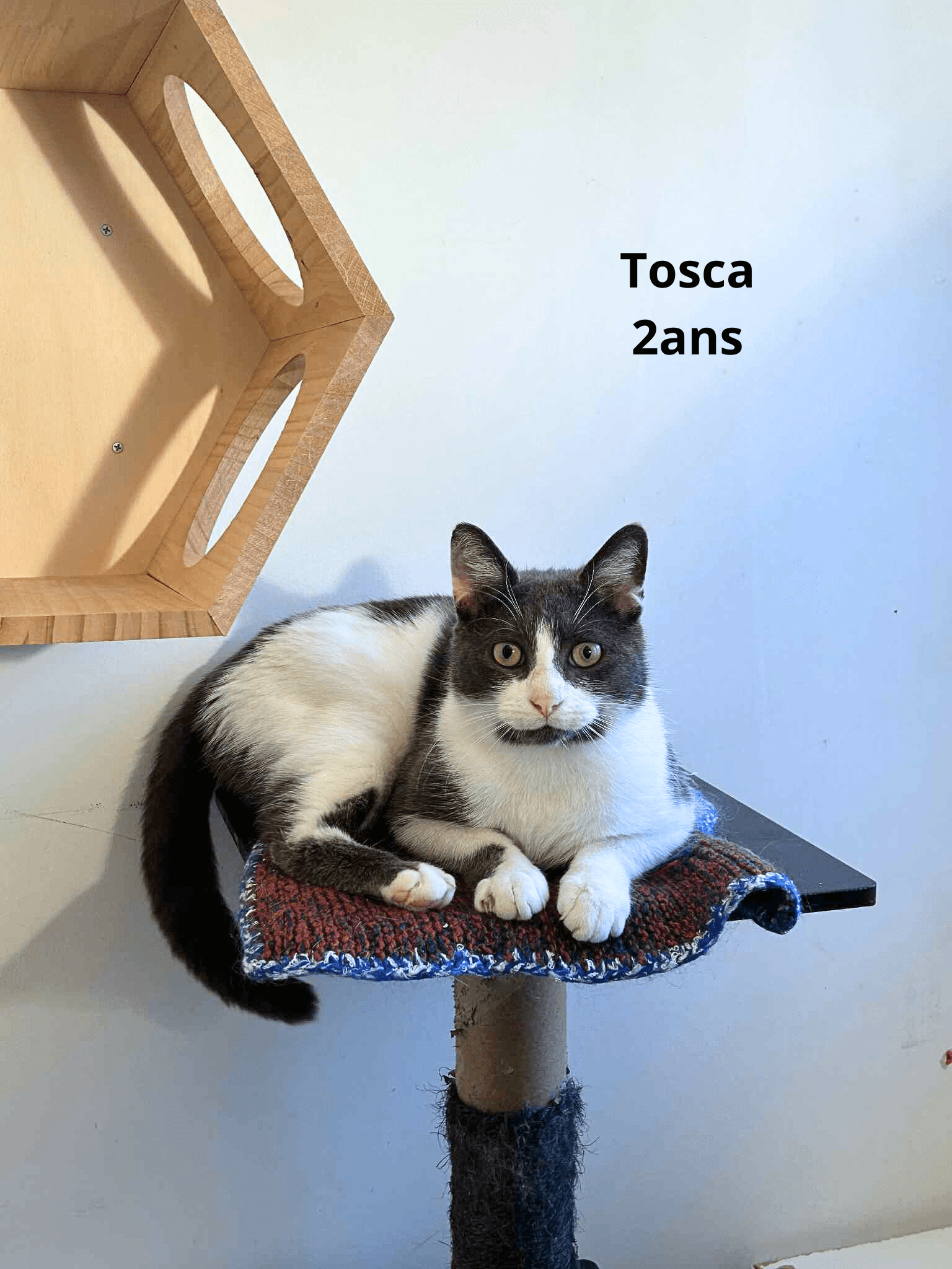 - | Ch'amis pour la vie