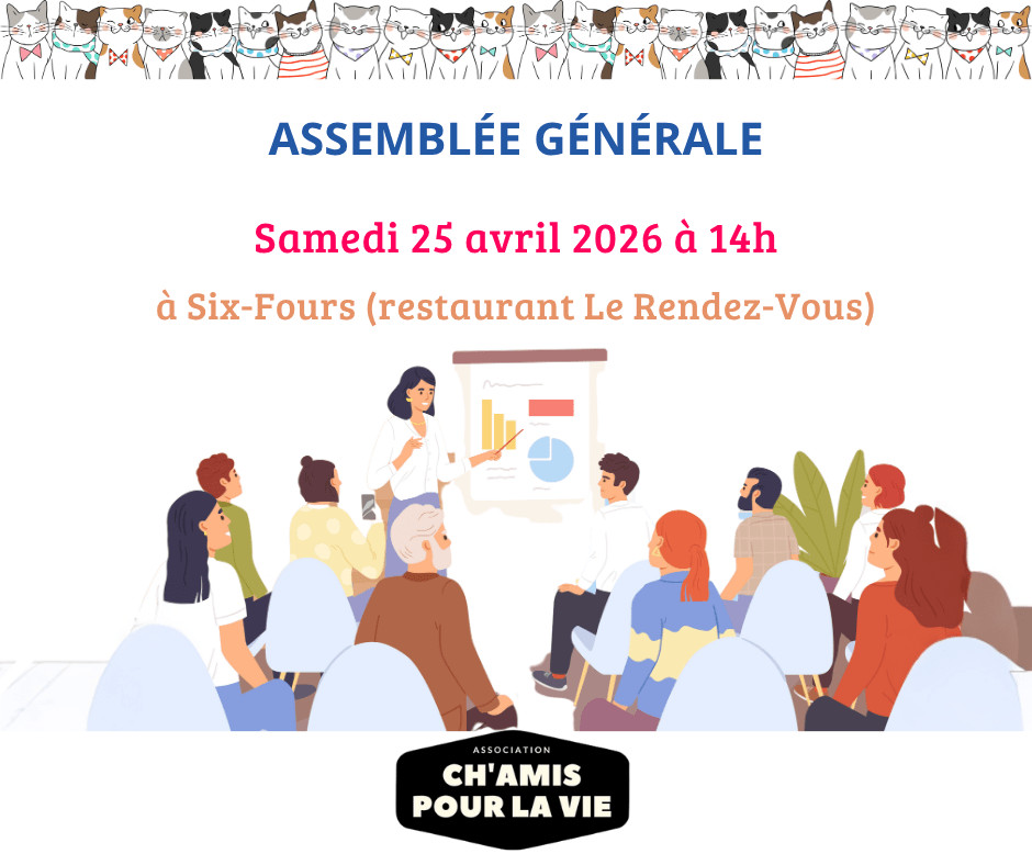 Assemblée Générale 2026 | Ch'amis pour la vie
