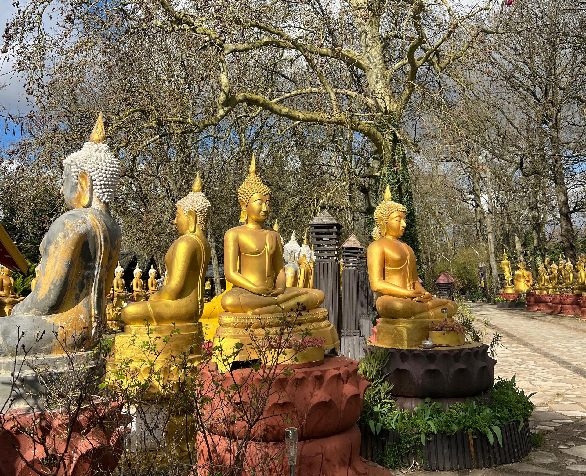 Fêtons ensemble le nouvel an laotien dans les jardins de la Pagode Thammapathip ! | Sourires d'Enfants