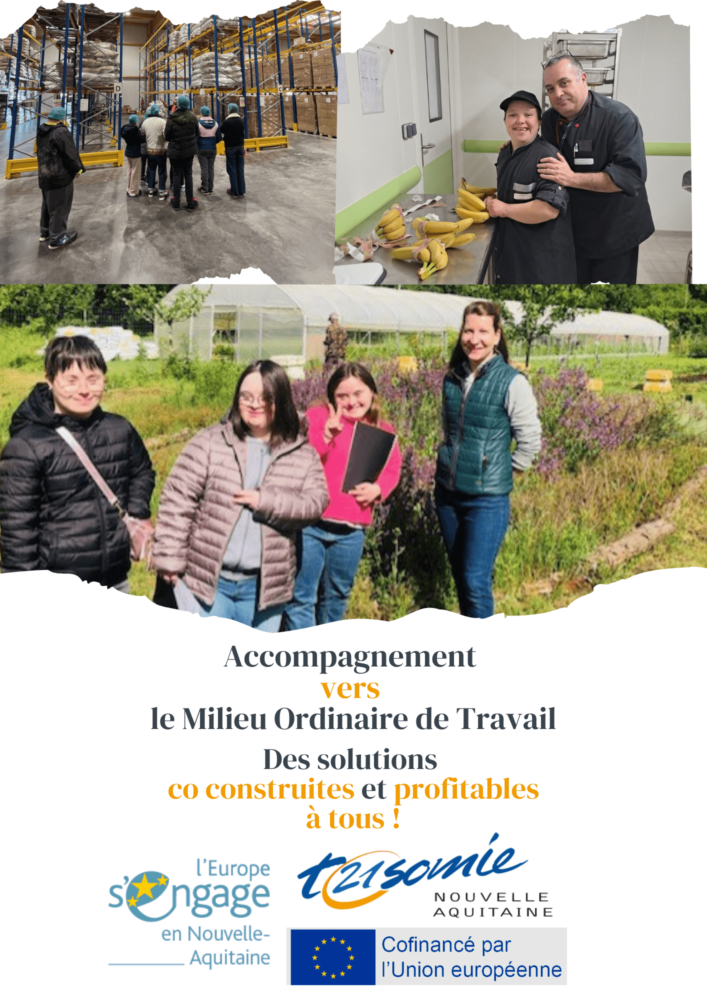 🎯 Favoriser l’accès à l’emploi en milieu ordinaire pour les personnes avec un trouble du développement intellectuel | Trisomie 21 Nouvelle Aquitaine