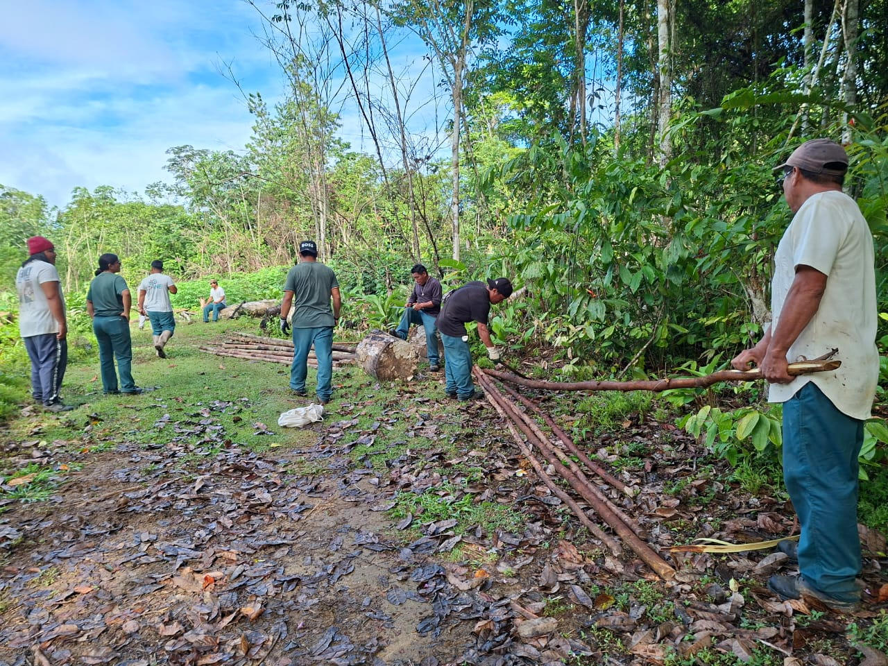 Lien Et Insertion Pour La Guyane