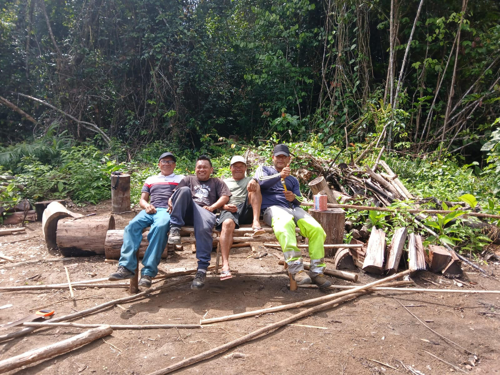 Lien Et Insertion Pour La Guyane