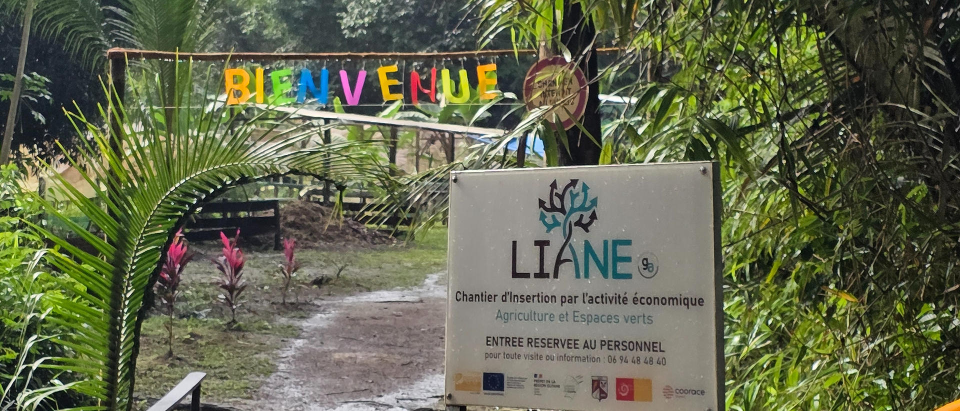 Lien Et Insertion Pour La Guyane