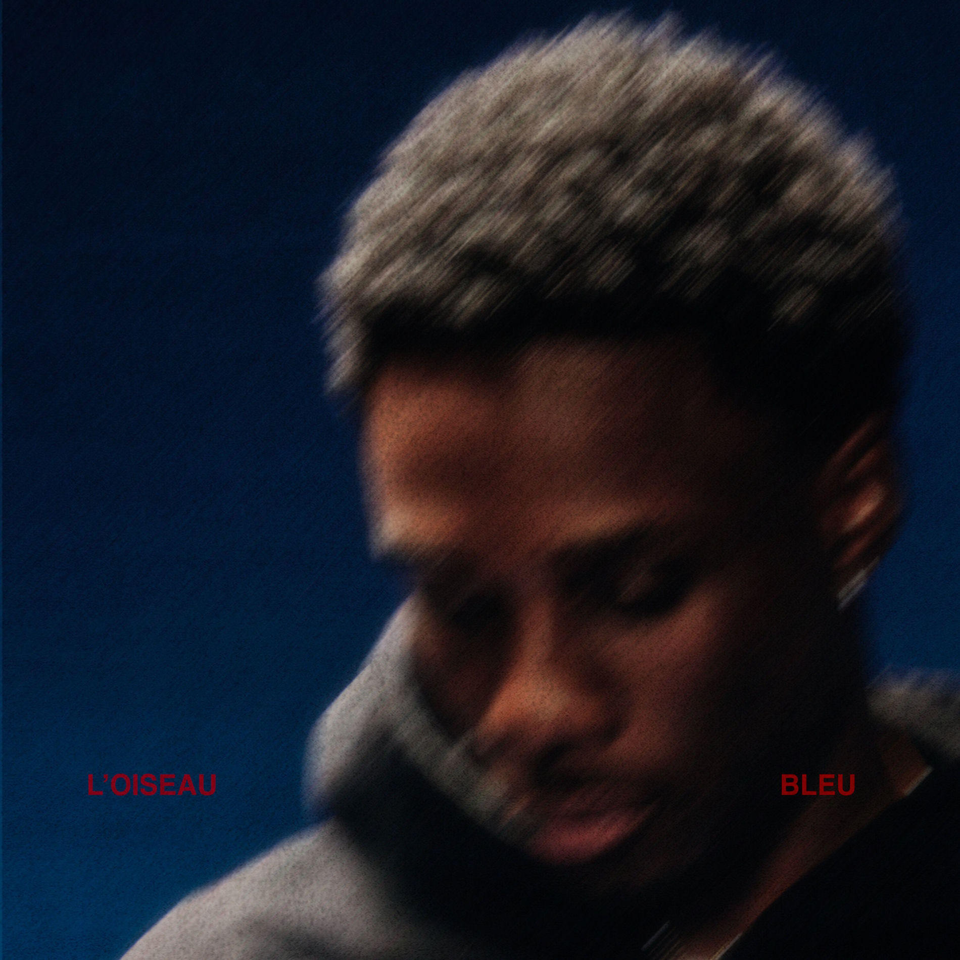 L'Oiseau Bleu | TACK