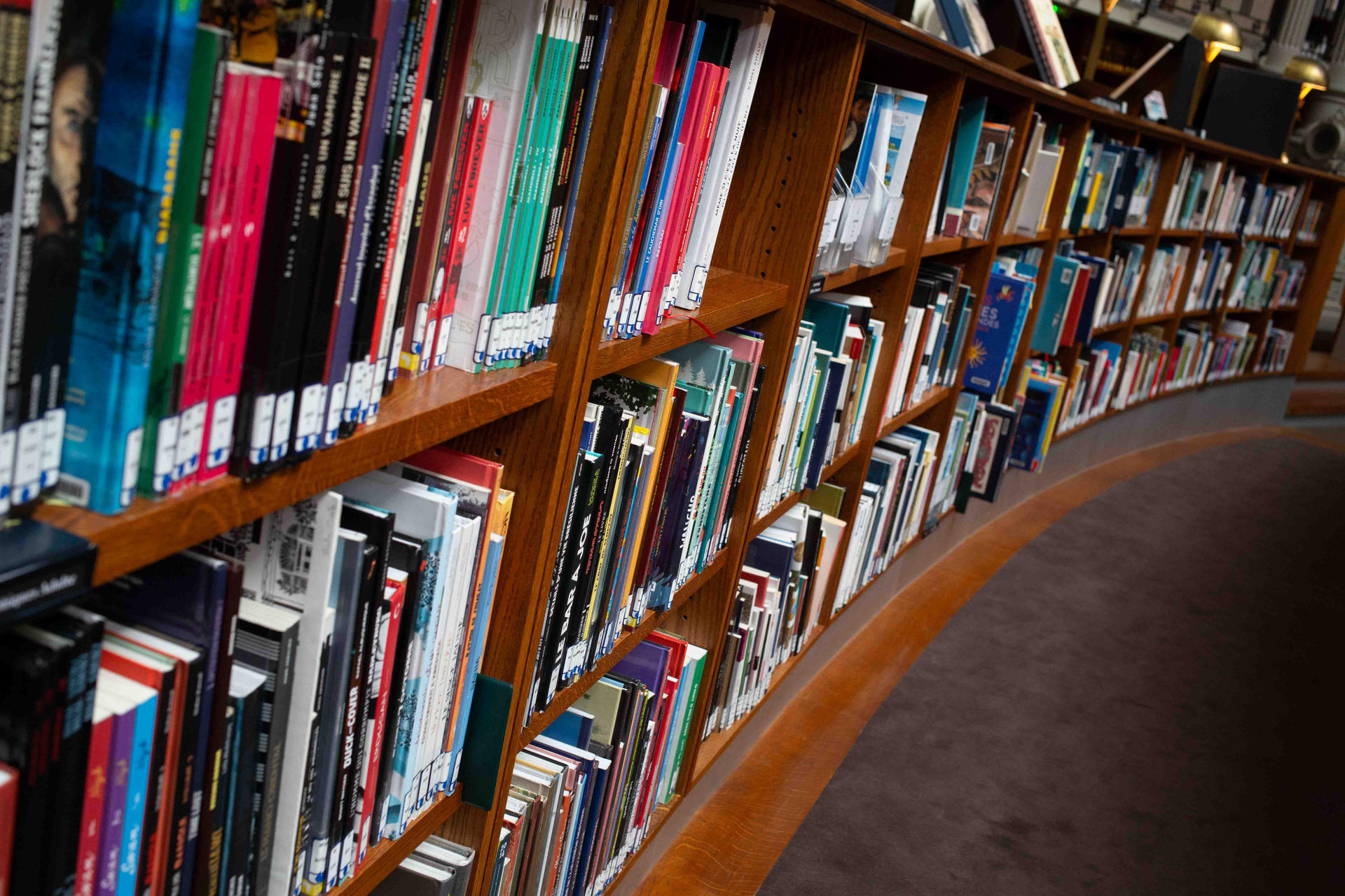 Aliados literarios