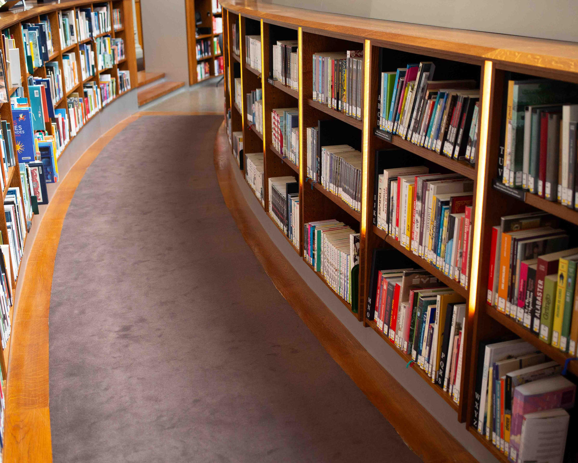 Aliados literarios