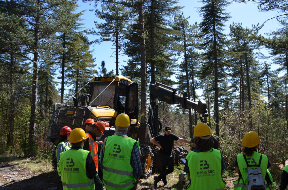 VIS MA VIE DE BUCHERON | Visite de chantier forestier dans le Ventoux | Fibois Sud