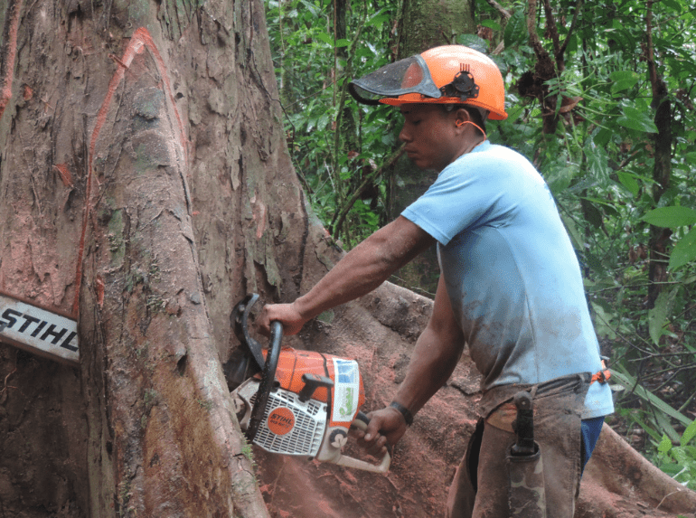 Lien Et Insertion Pour La Guyane