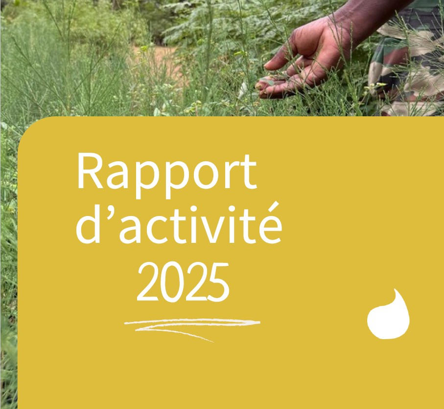 Rapport activité CoopTerre 2025 | Coopterre