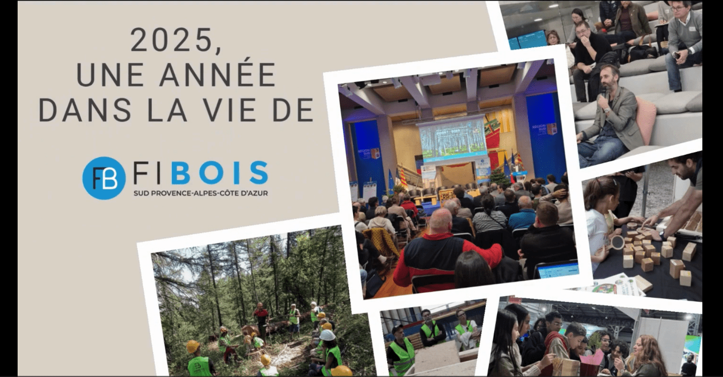 FIBOIS SUD | Retour sur notre activité en 2025 | Fibois Sud