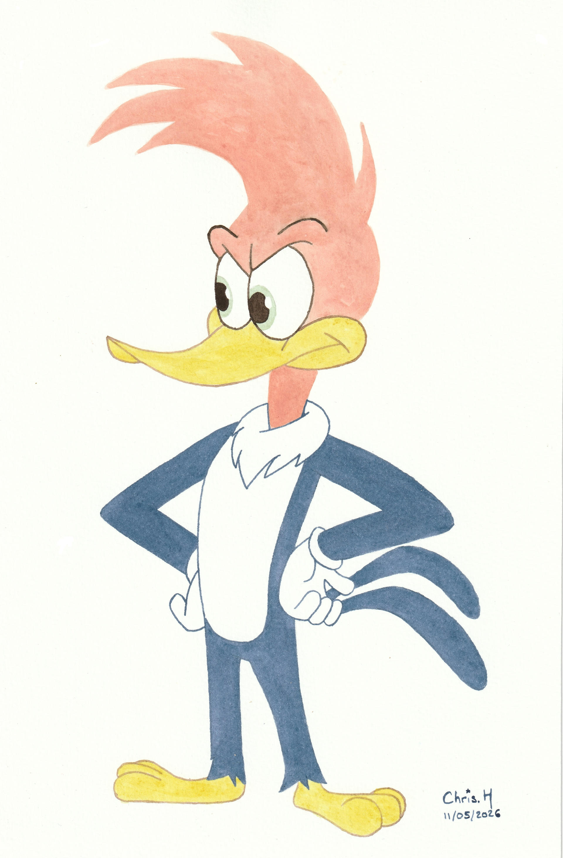 Woody Woodpecker | christophe-henry