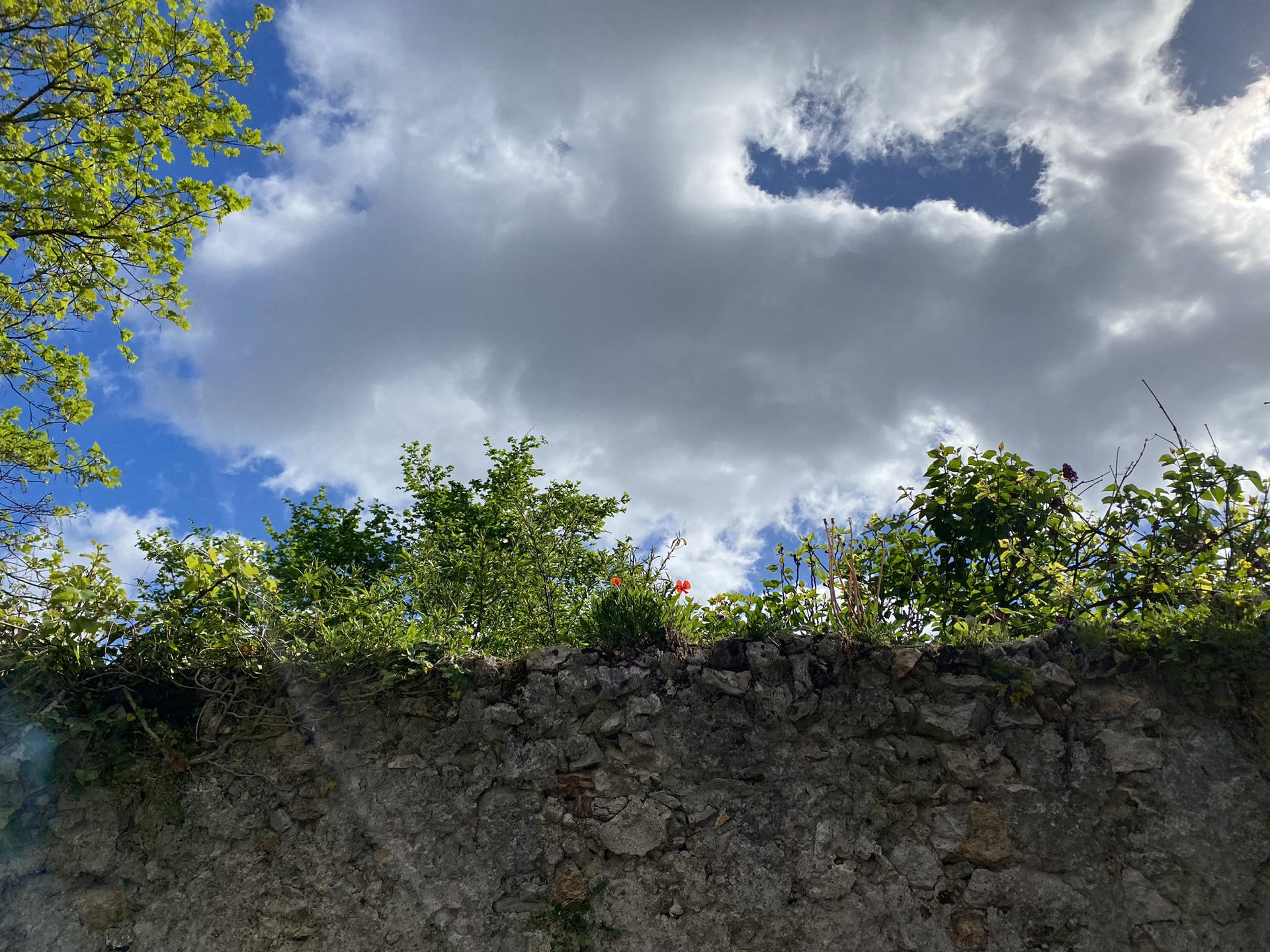 Fête de soutien aux Bons Petits Légumes | Lezarts Dans Les Murs
