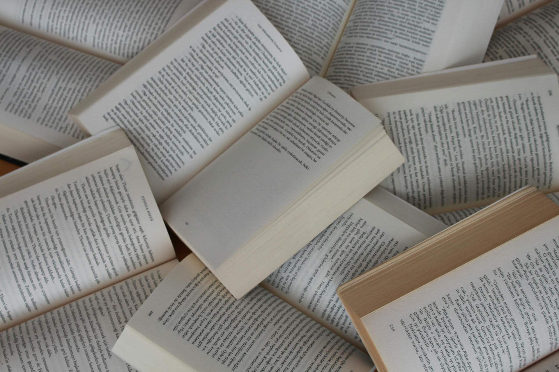Aliados literarios