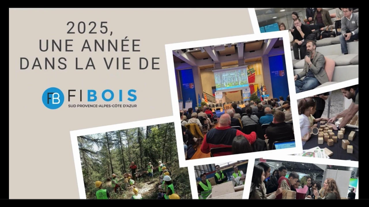 Retour sur l'activité de FIBOIS SUD en 2025