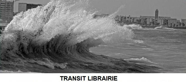 Transit librairie | Festival Ciné-Palestine - FCP