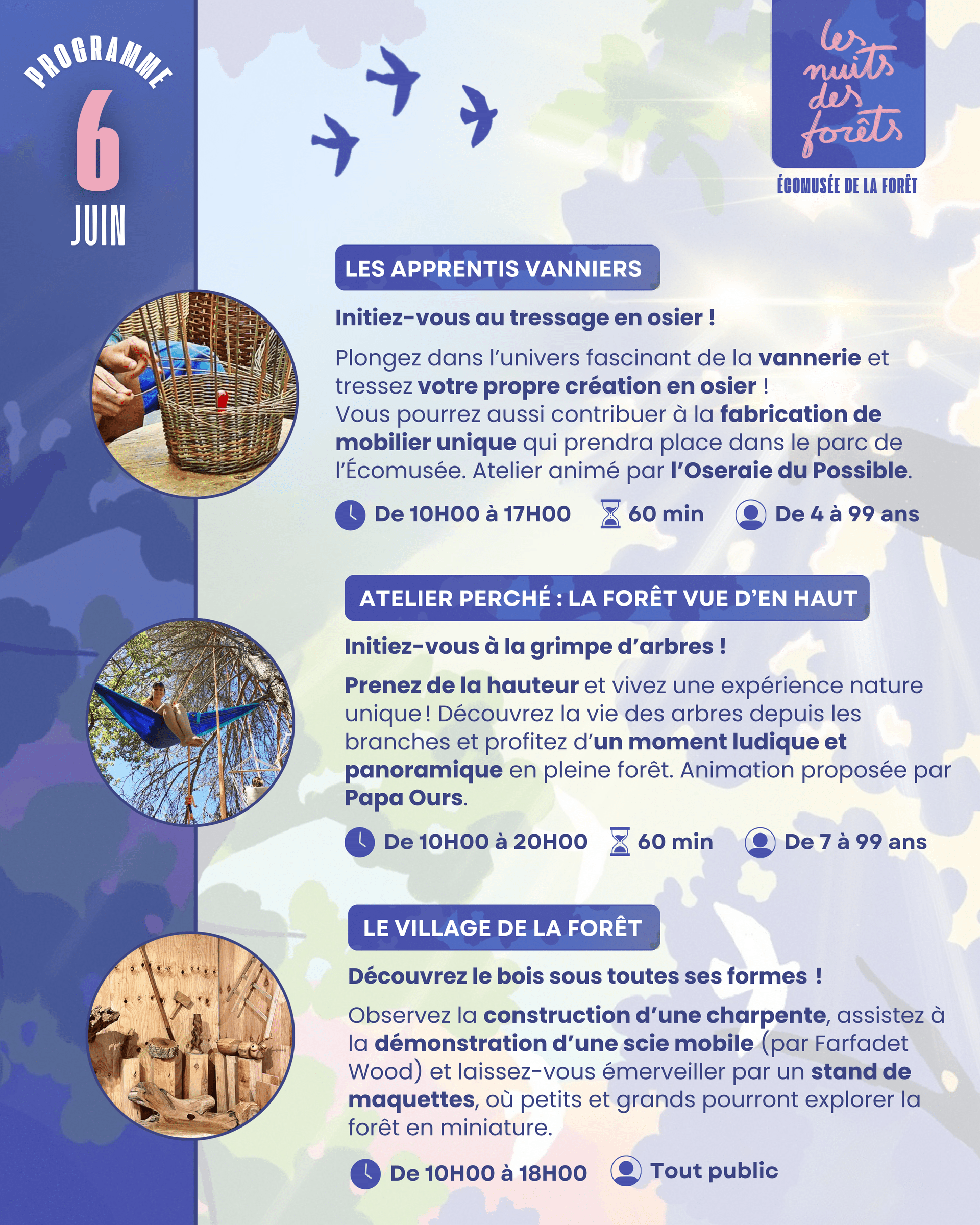 - | Fibois Sud