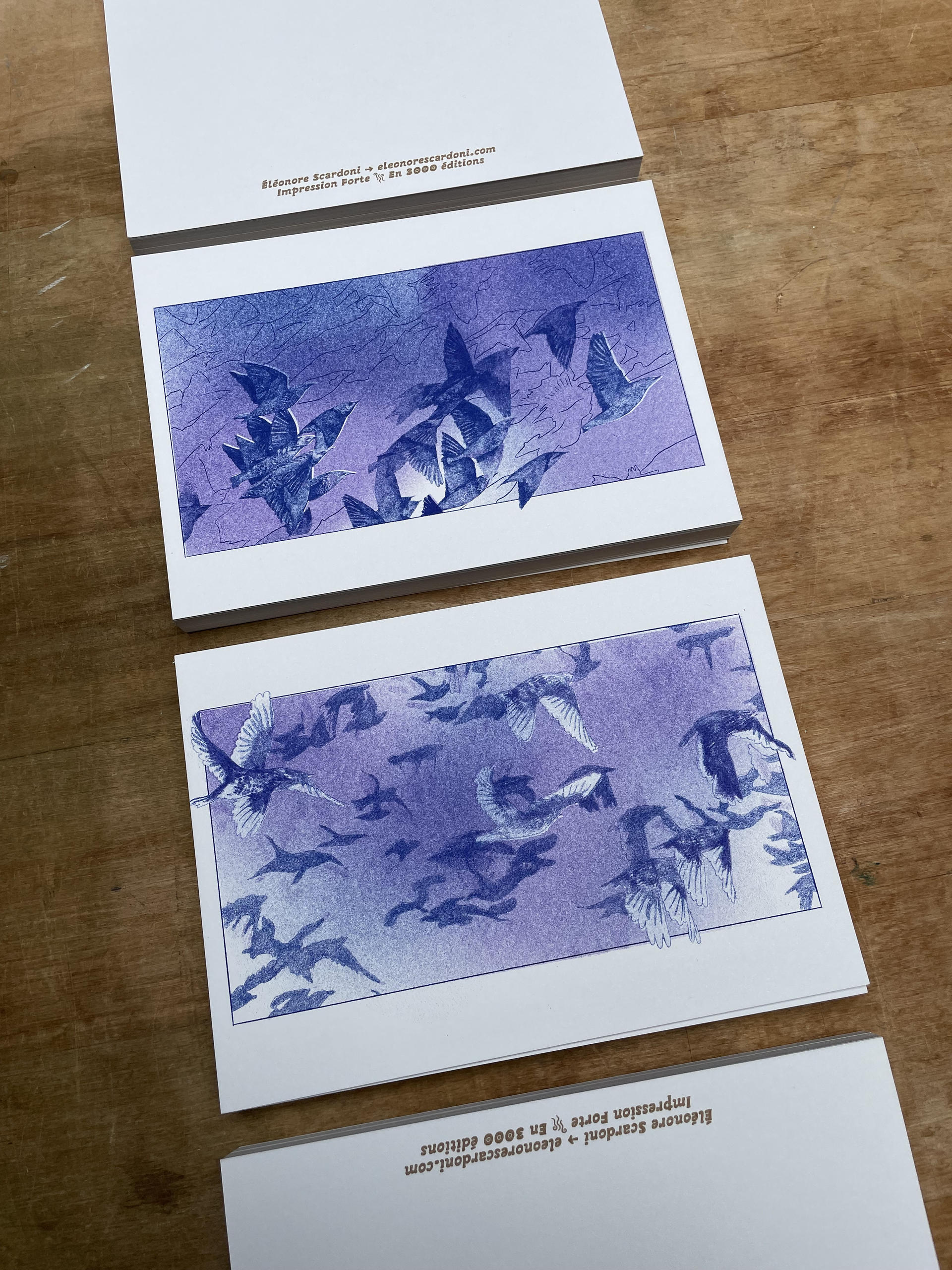 Envols | Éléonore Scardoni