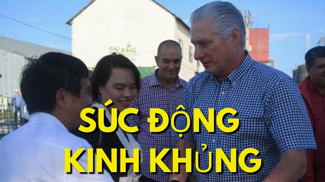 Chủ tịch Cuba kinh ngạc với kết quả làm việc của chuyên gia Việt Nam!