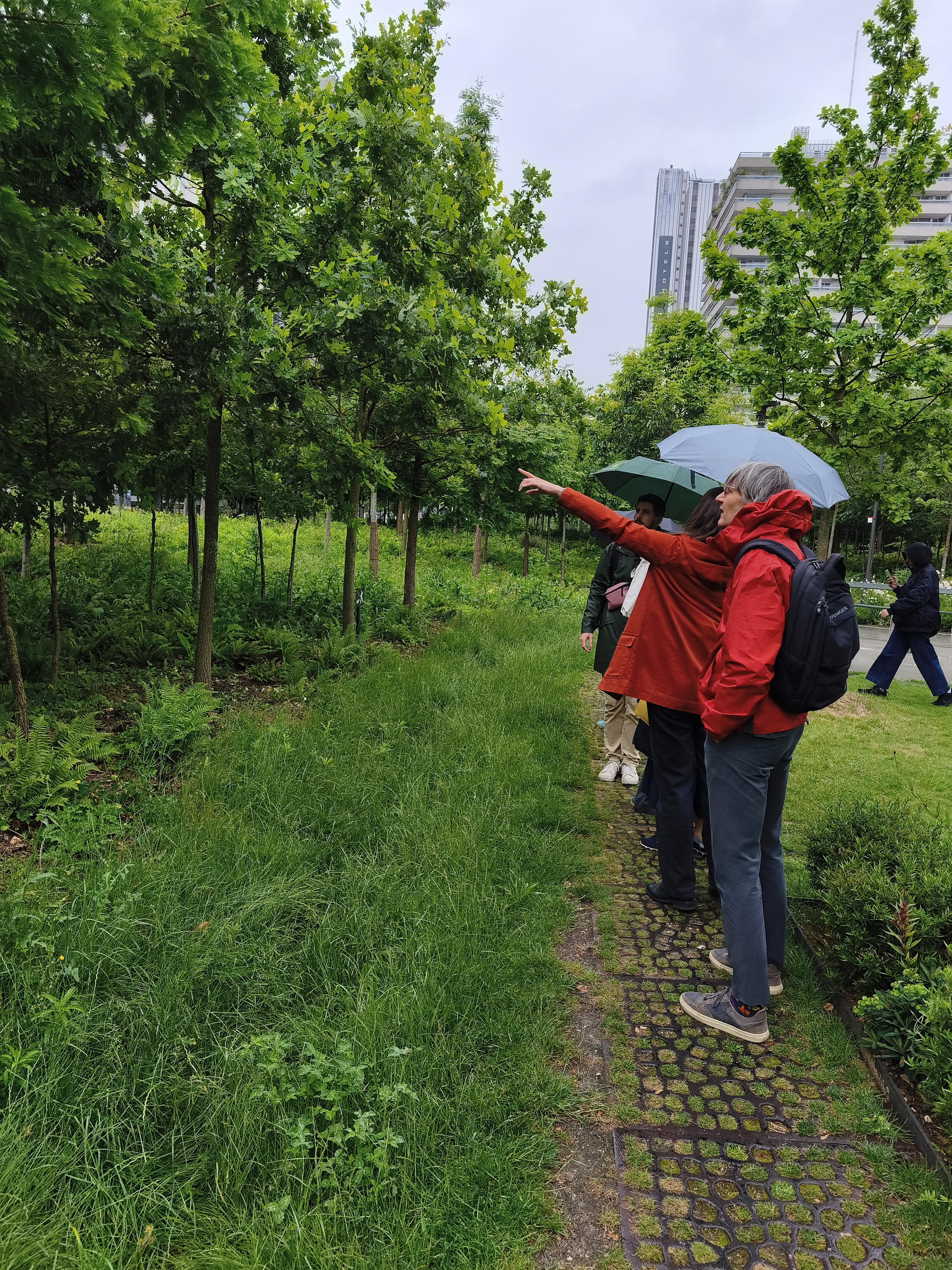 Balade urbaine - Du jardin à la forêt urbaine, le végétal s'invite en ville | Coopterre