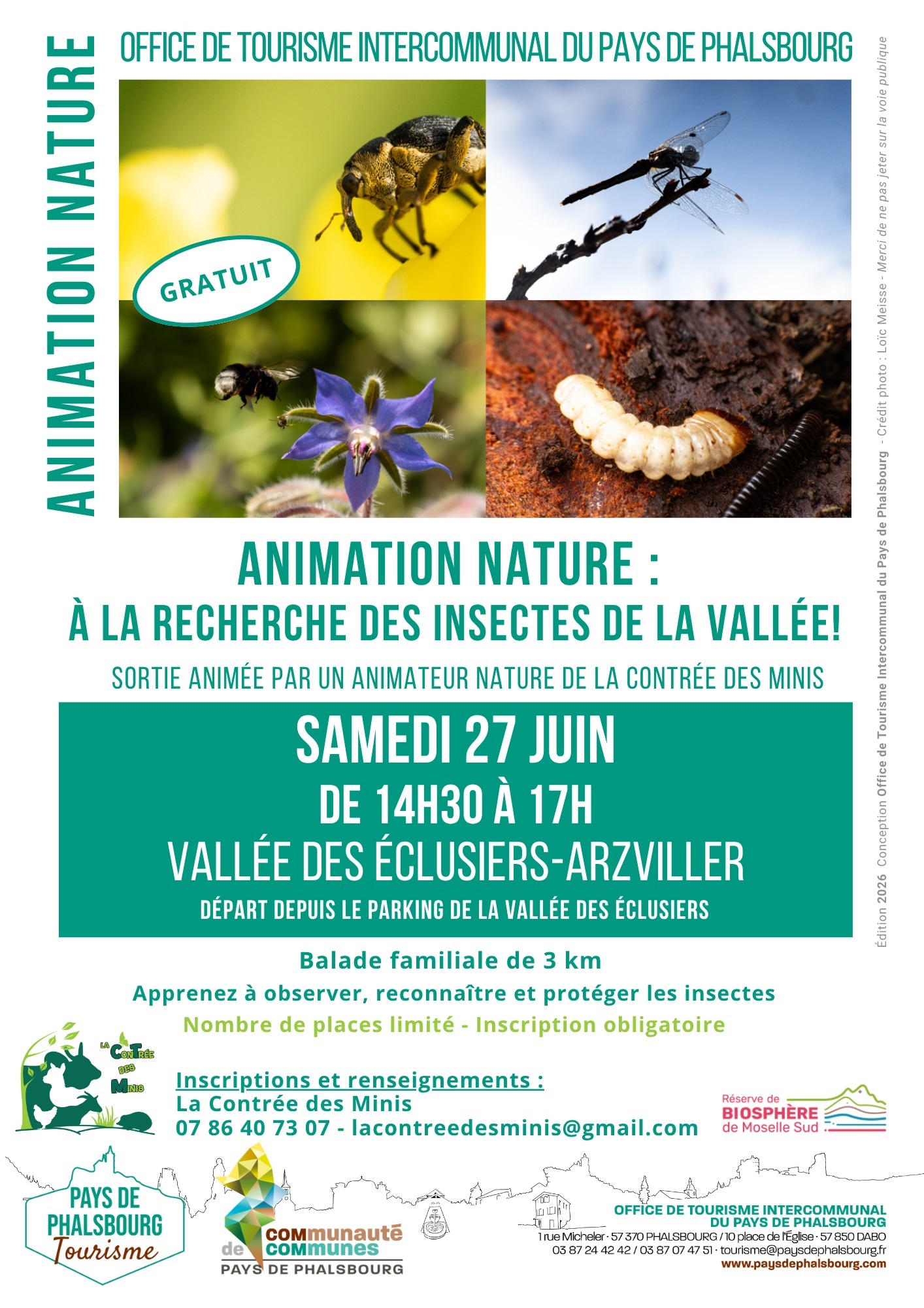 Sortie nature - A LA RECHERCHE DES INSECTES DE LA VALLEE | La contrée des minis