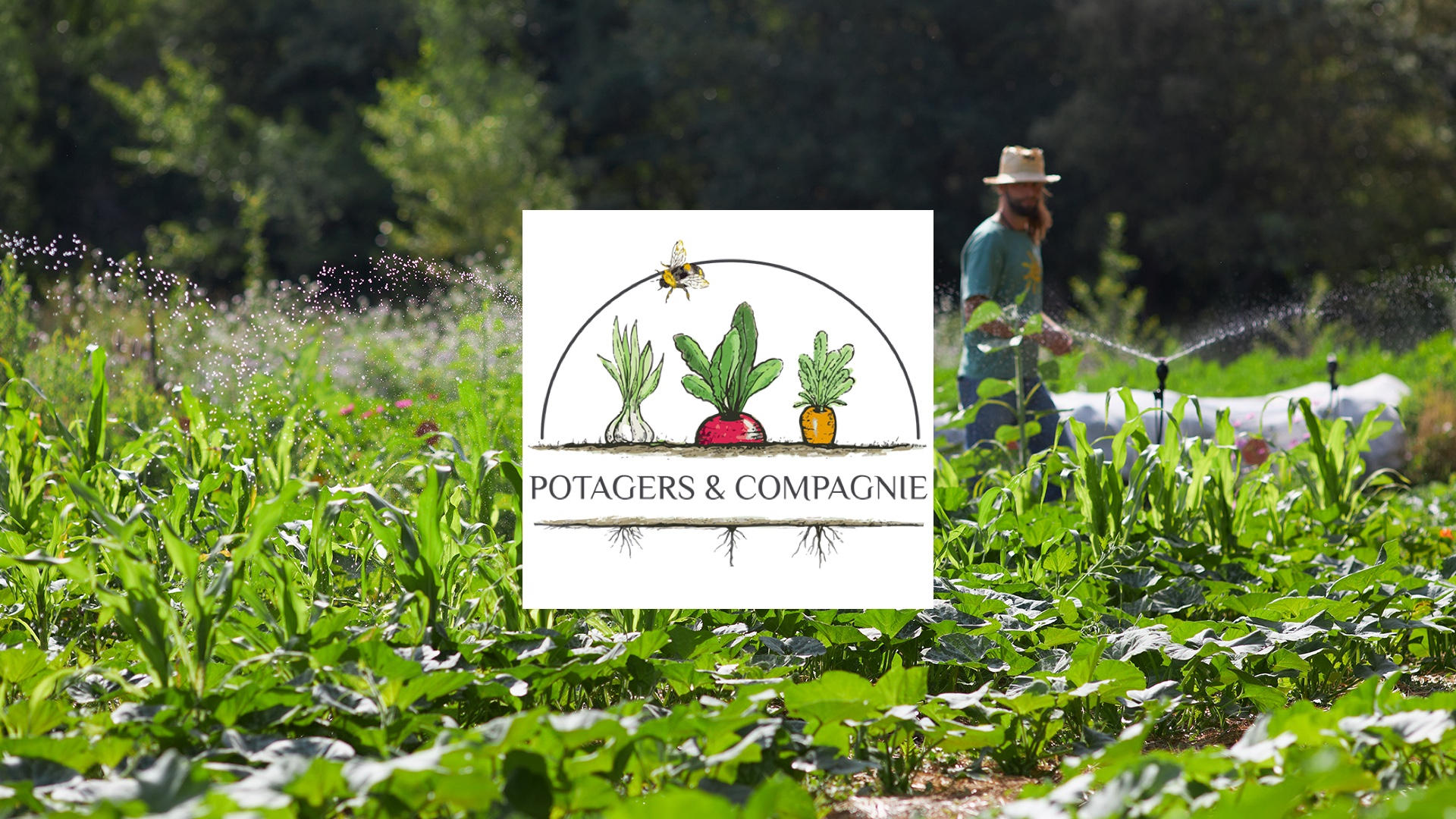 Potagers & Compagnie | What The Web