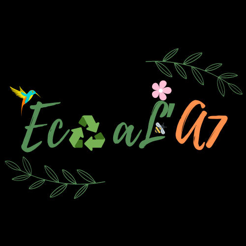 Eco à l'A7 | RESES