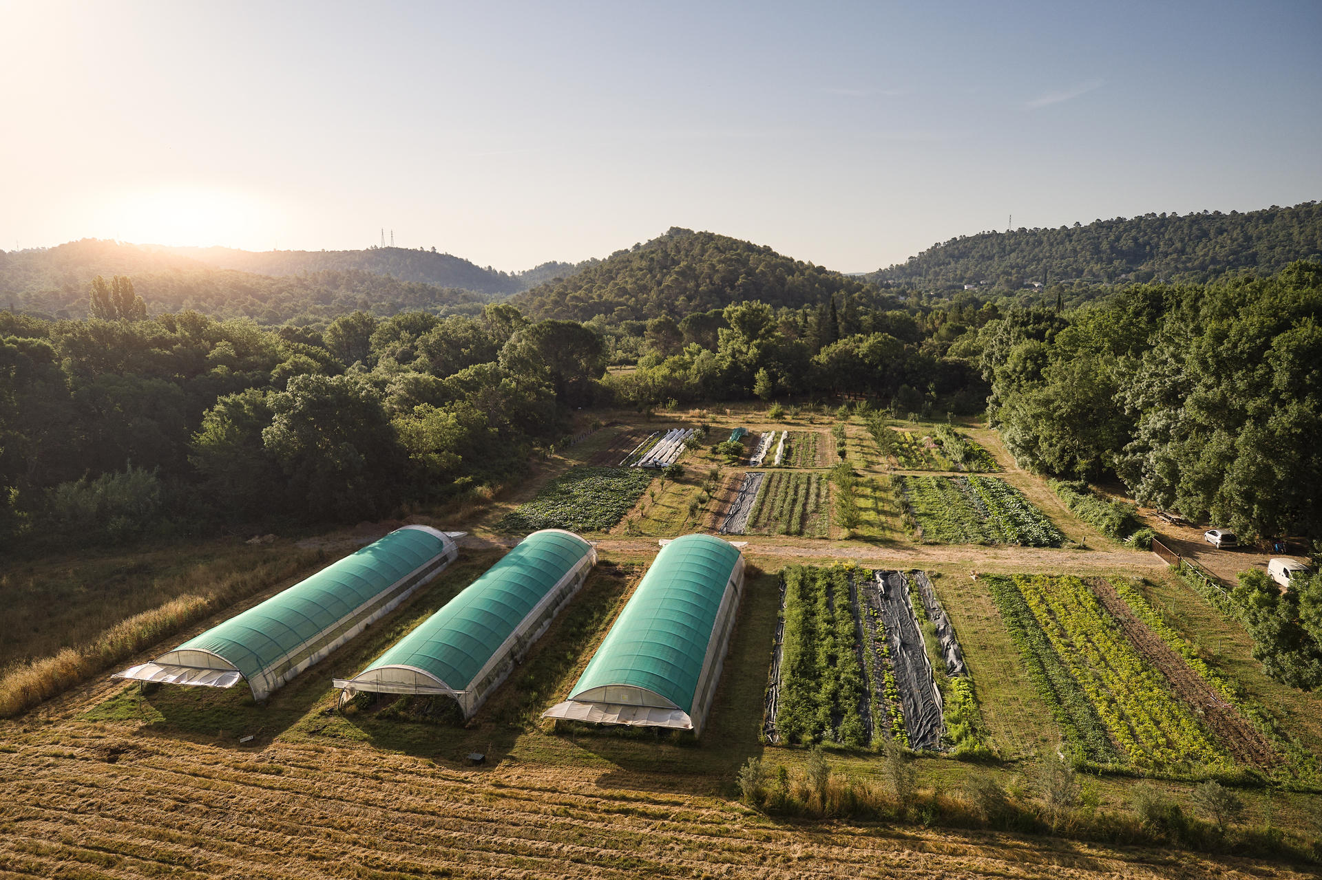 Potagers & Compagnie