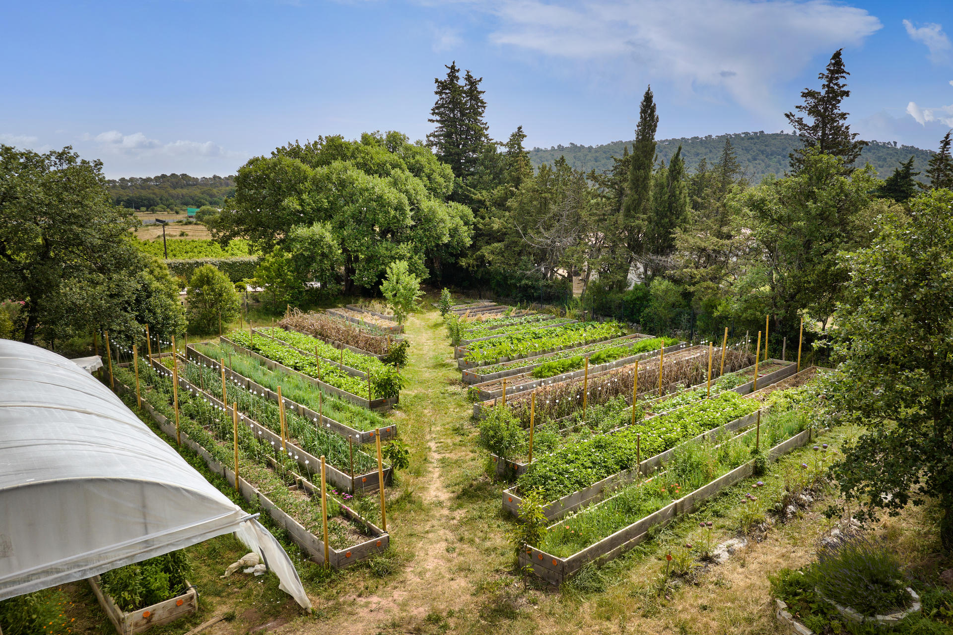 Création d'un potager d'entreprise en bacs pour Soleil du Sud | Potagers & Compagnie