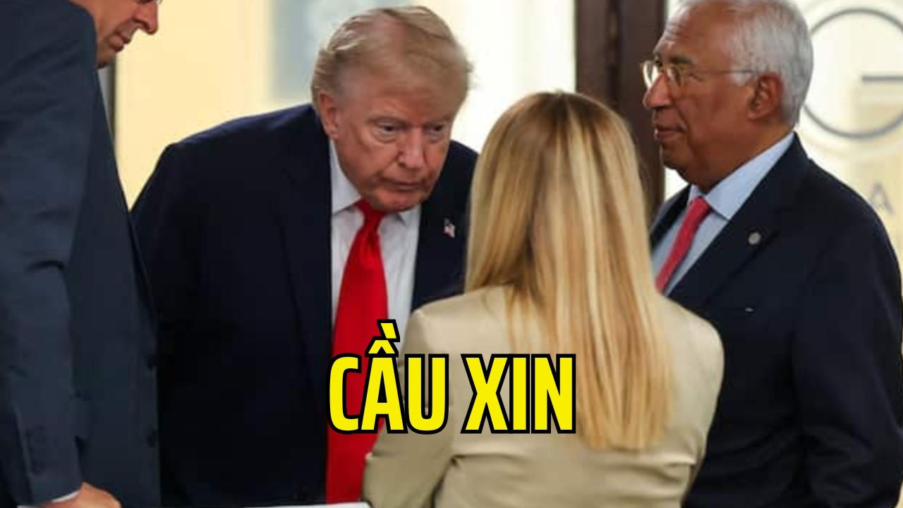 Donald Trump bất ngờ xúc phạm đồng minh châu Âu!