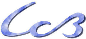 LCB | Association Oasis D'Amour