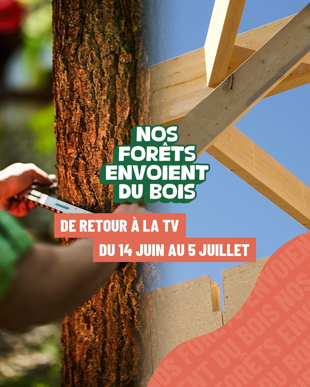 CAMPAGNE | Nos forêts envoient toujours du bois en 2026 | Fibois Sud
