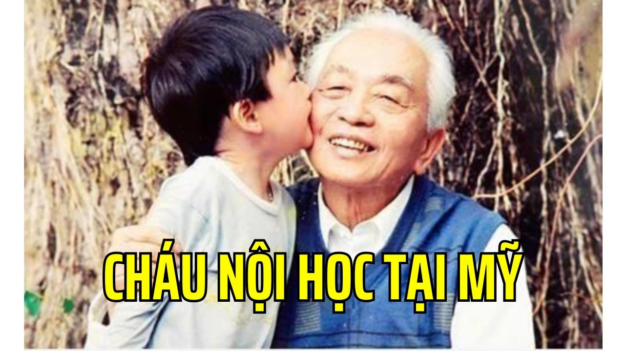 Cháu nội ĐT Võ Nguyên Giáp sang đất kẻ thù học tập với mục đích gì?