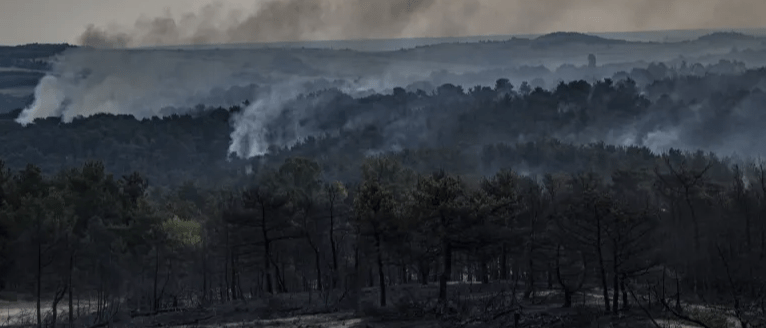 Fires, Pushbacks and the Far Right: Misplaced Blame and the Mobilisation of Violence Against People on the Move in Evros | Equal Legal Aid