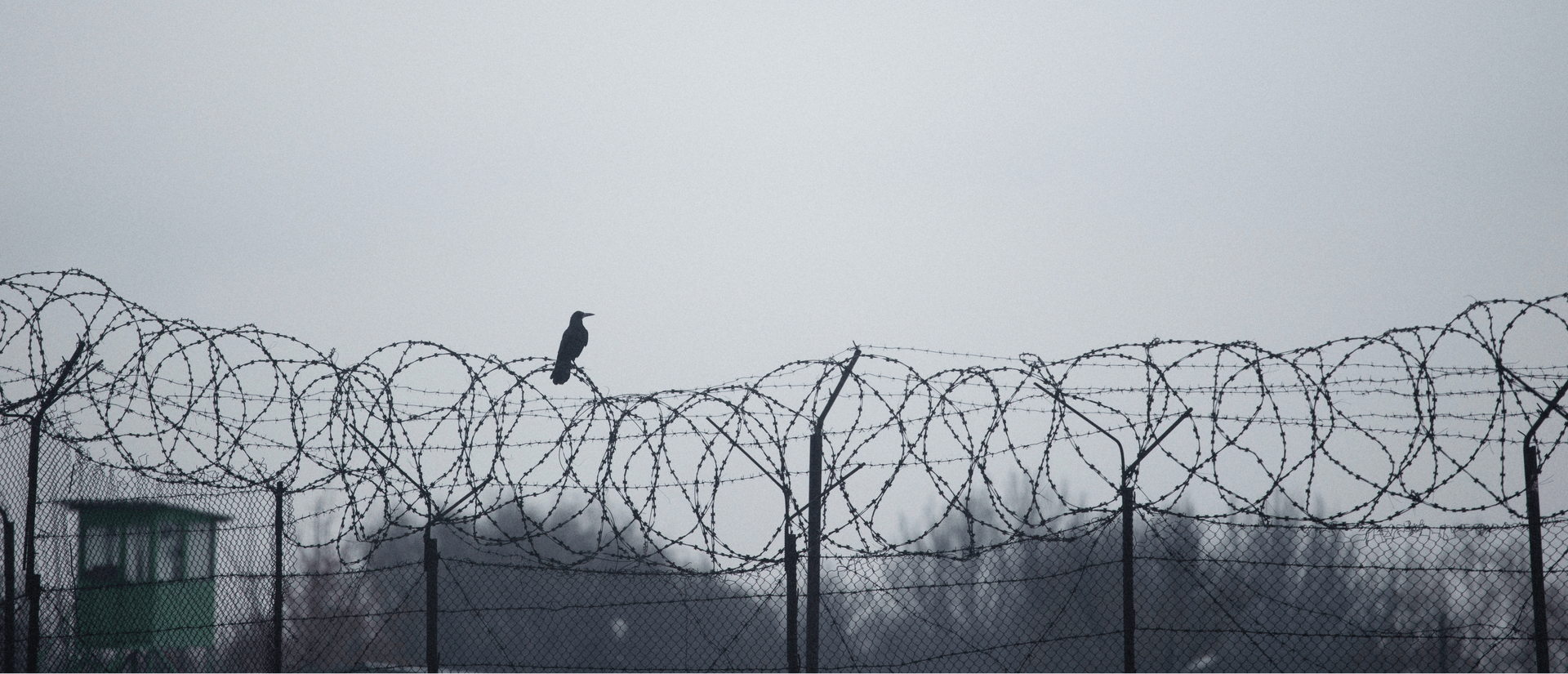 Joint Letter to the Greek Minister of Migration and Asylum: Regarding the Implementation of the New Pact on Migration and Asylum | Equal Legal Aid