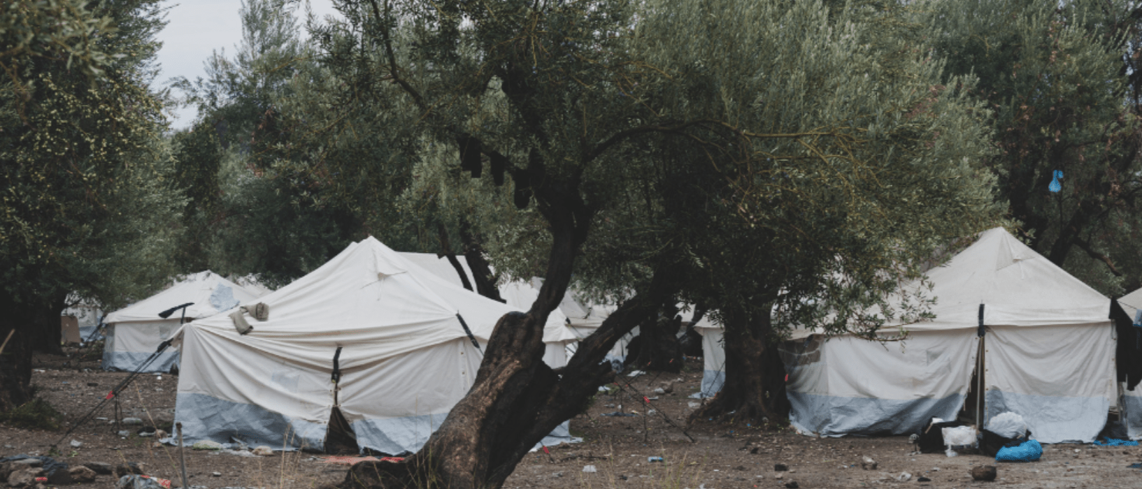 Reception of asylum seekers in Greece: the demand for humane conditions remains | Equal Legal Aid