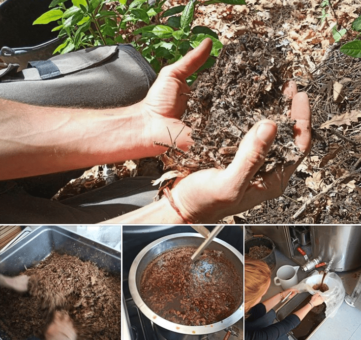 Préparer et utiliser la litière forestière fermentée, chez Permaculture au Jardin (La Farlède) | Potagers & Compagnie