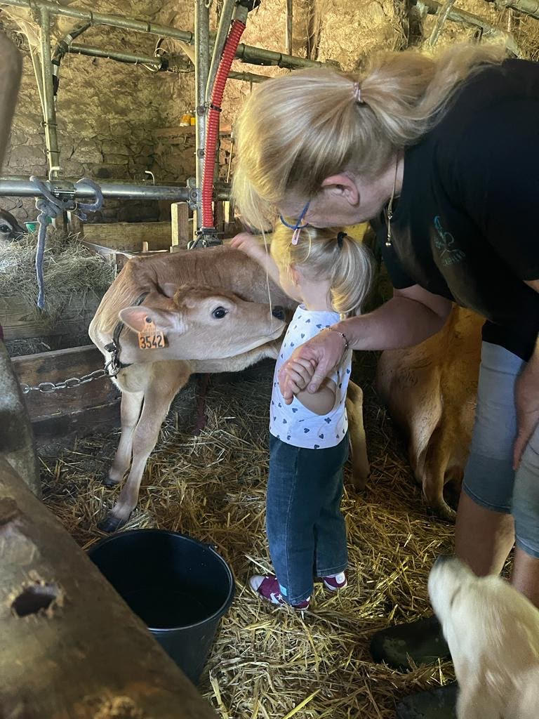 Sortie à la ferme des glaces Caresse et Câline | Tohu Bohu