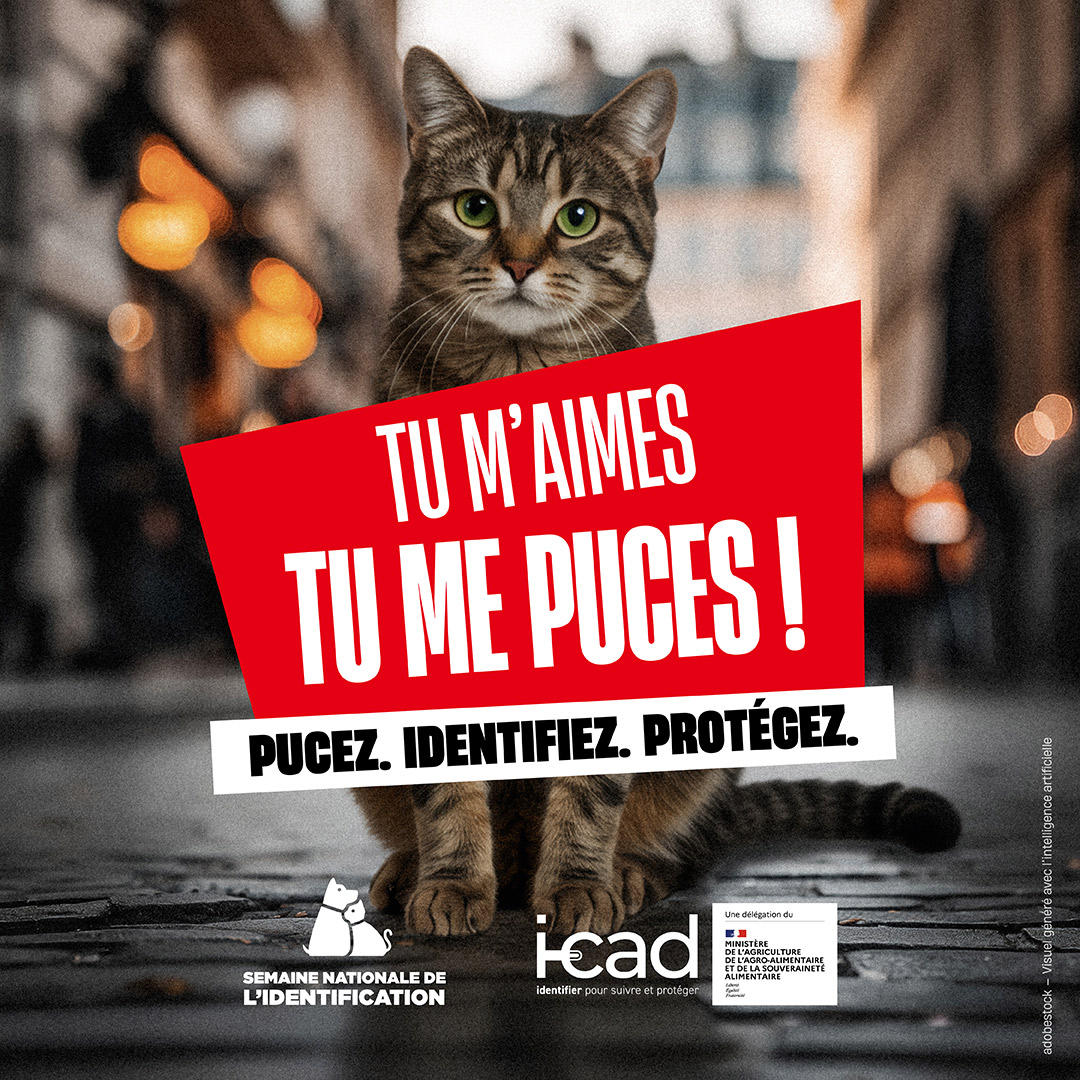 Semaine de l'identification | Ch'amis pour la vie