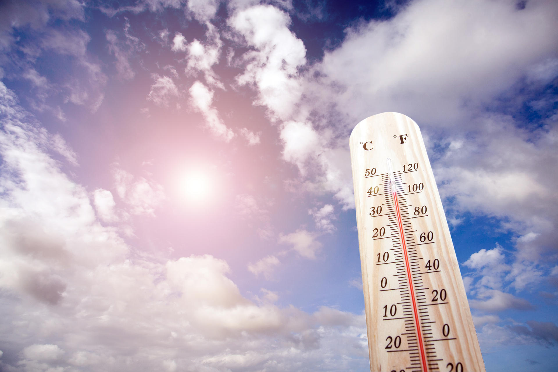 Plan Canicule 2026 | MDQ - Maison de Quartier Buurthuizen
